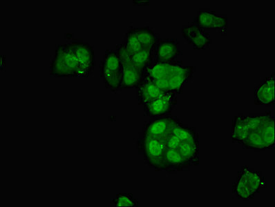 CSB-PA015542ESR1HU