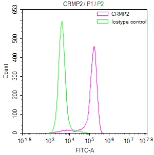 CSB-RA029079A0HU