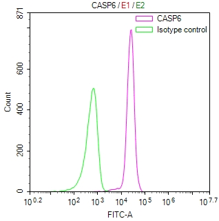 CSB-RA065800A0HU