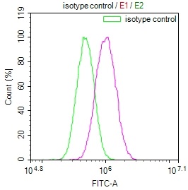 CSB-RA215817A0HU Fc