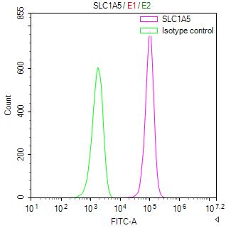 CSB-RA620892MA1HU