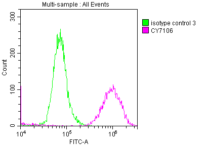 CSB-RA907007A0HU Fc
