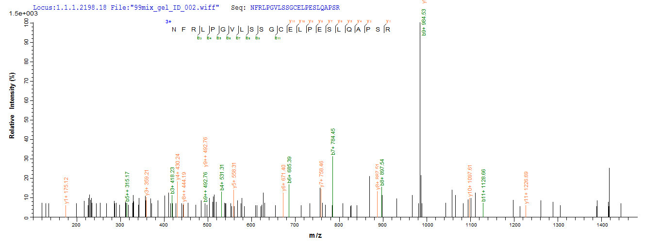 CSB-EP016048HU