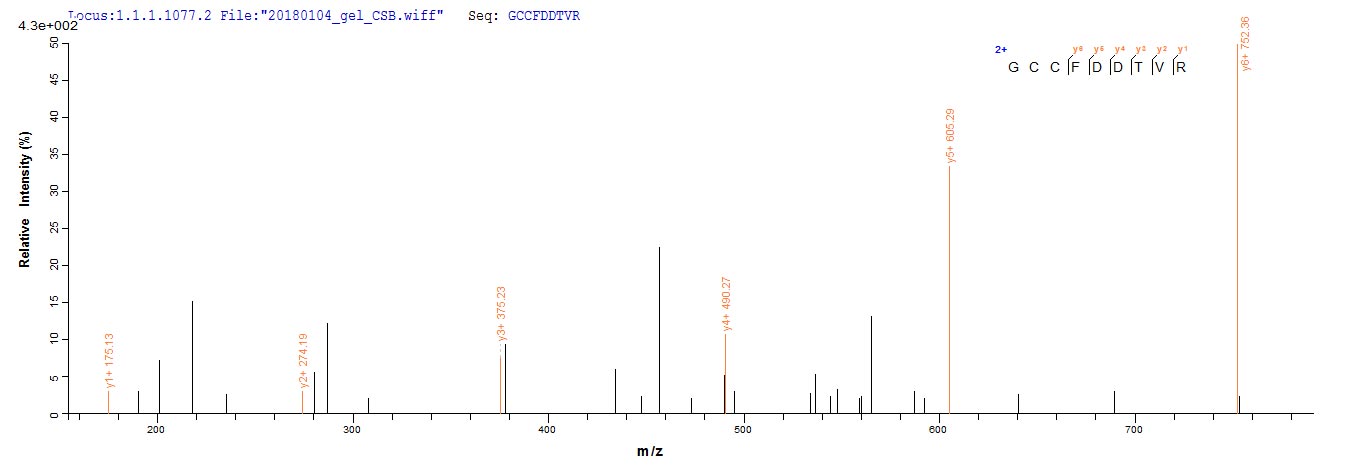 CSB-EP023431HU