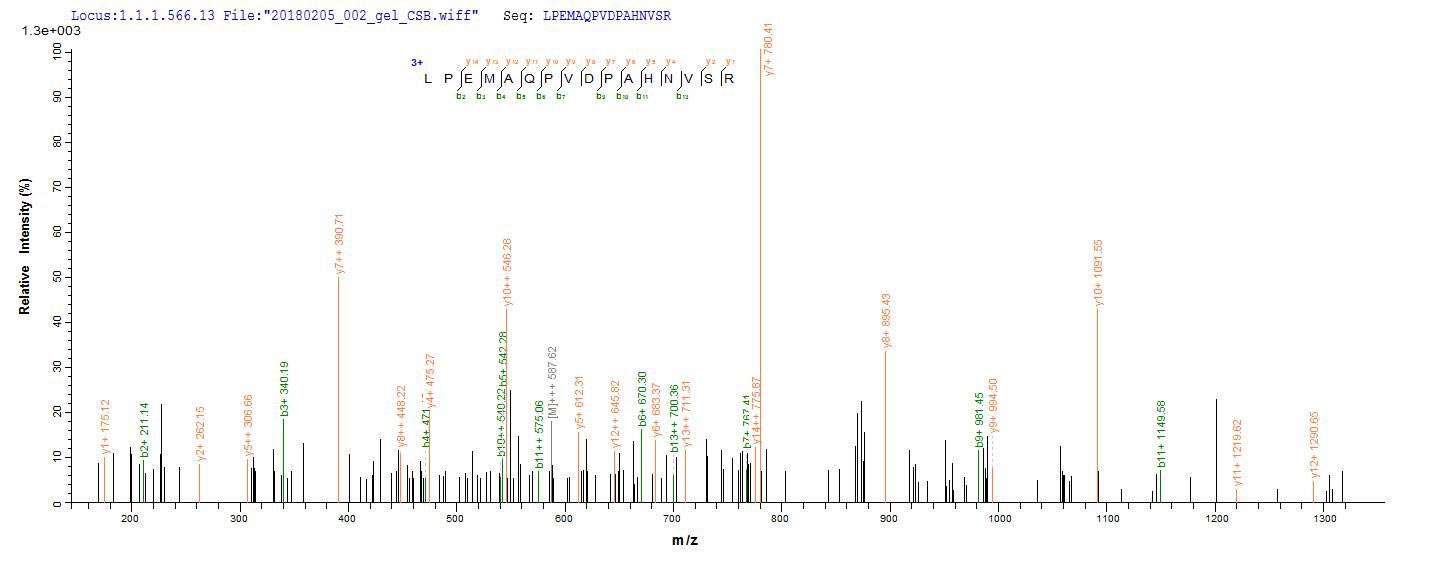 CSB-EP866314HU1