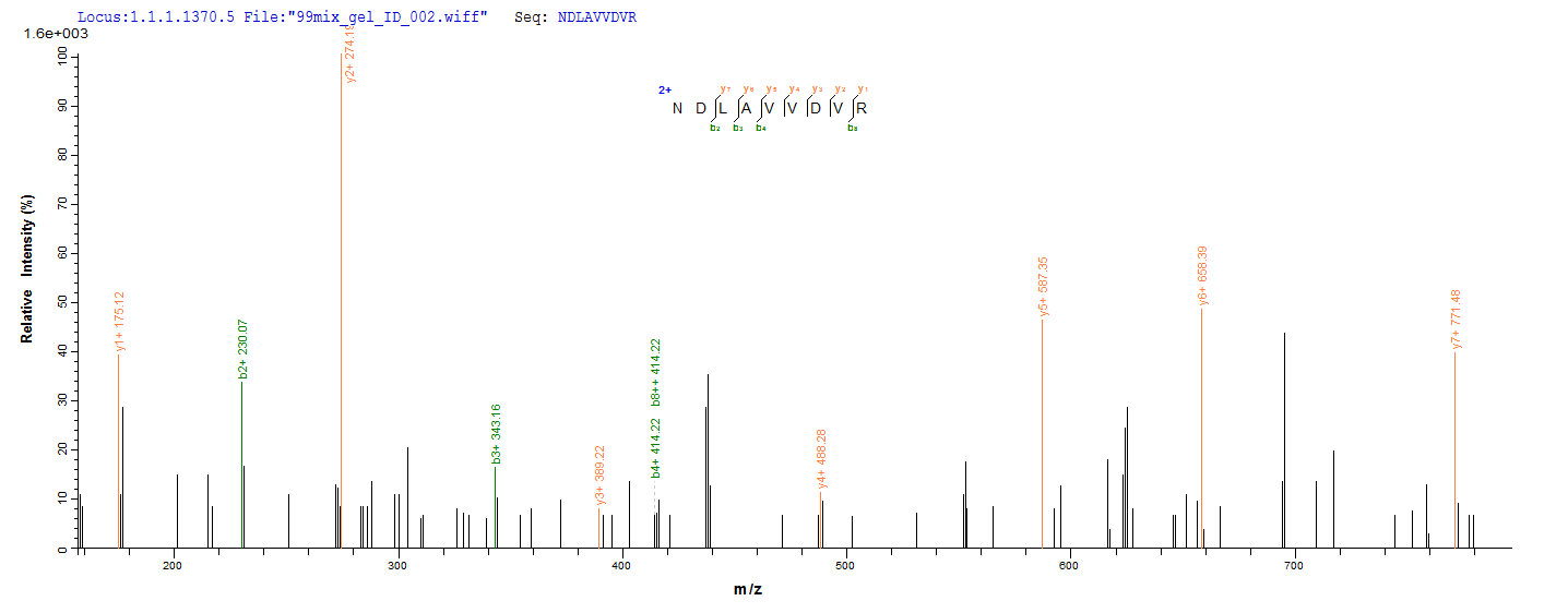 CSB-YP015535HU
