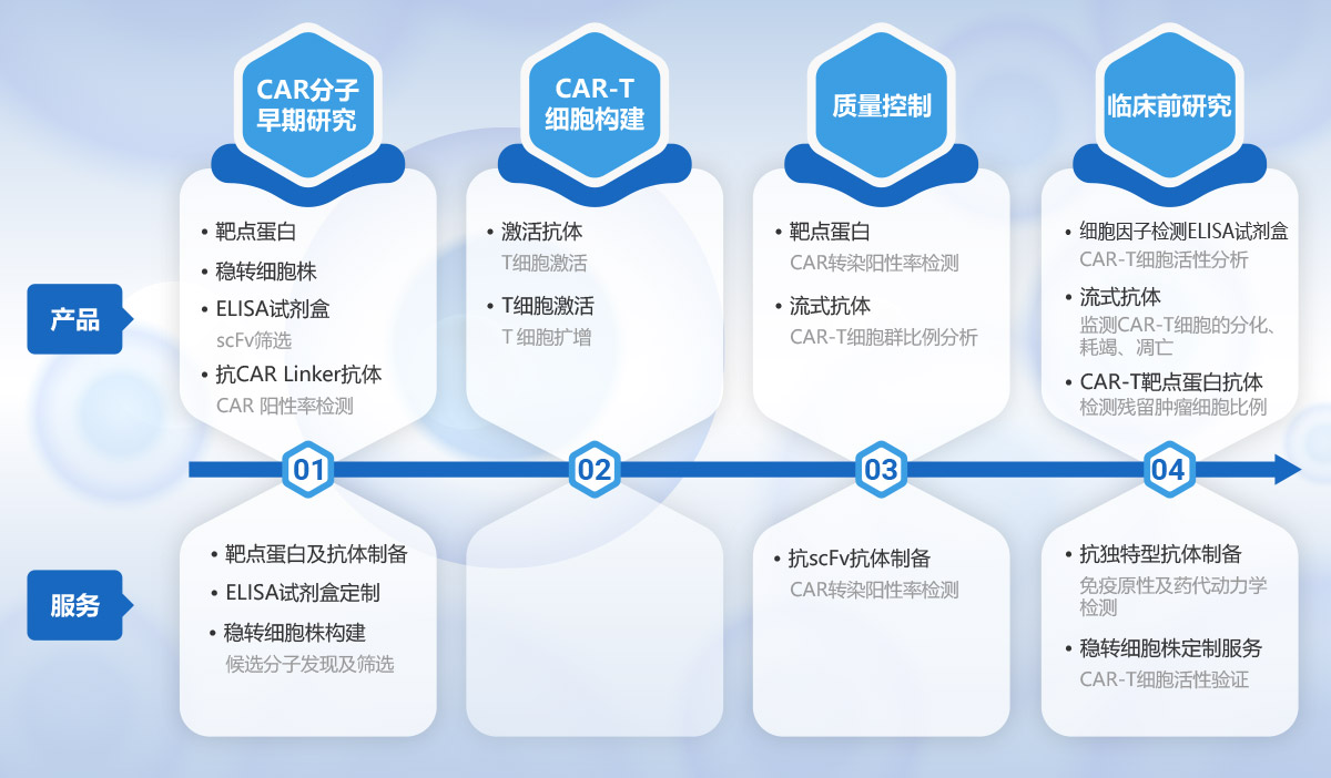 CAR-T細(xì)胞治療開(kāi)發(fā)解決方案